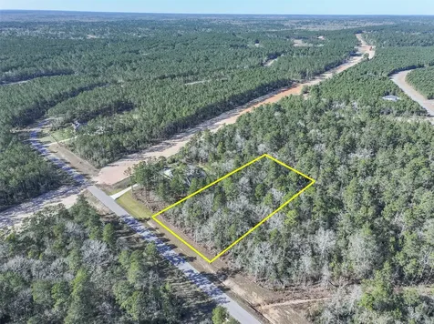 15268 Forest Grove Drive Willis TX 77378