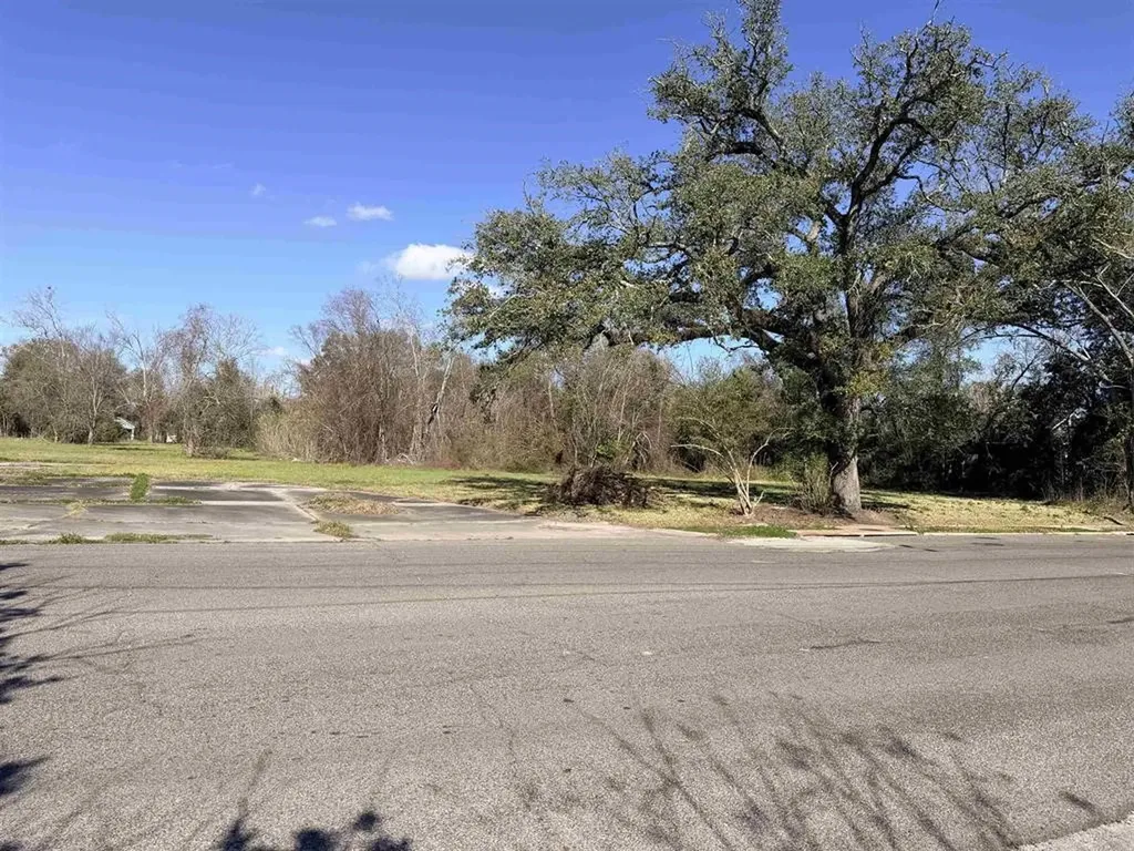 1606 W Park Avenue Orange TX 77630