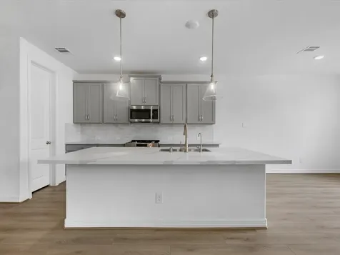 32111 Waterlily View Court Hockley TX 77447