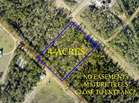 11652 Grand North Road Willis TX 77358