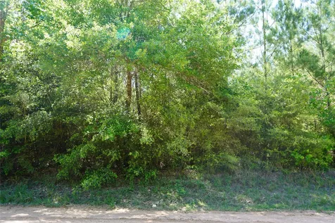 03 Tbd Sh 146/e Schwab Livingston TX 77351