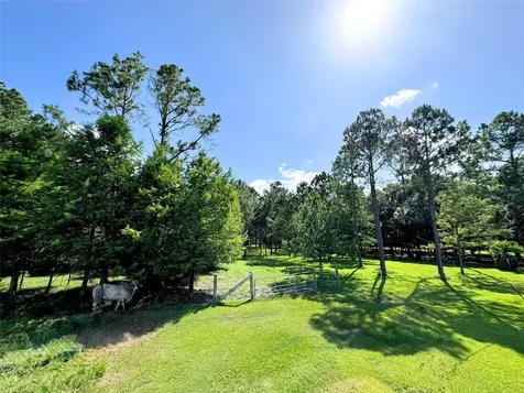 00000 County Road 540 Alvin TX 77511