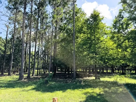 00000 County Road 540 Alvin TX 77511