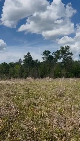 2147 8160 Tract 36 Lovelady TX 75851