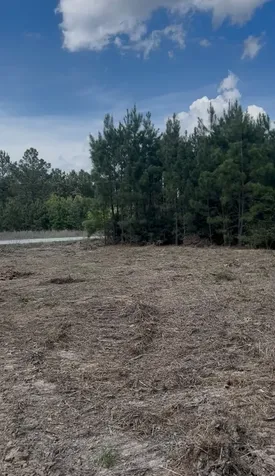 2147 8160 Tract 36 Lovelady TX 75851