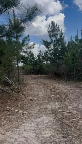2147 8160 Tract 36 Lovelady TX 75851
