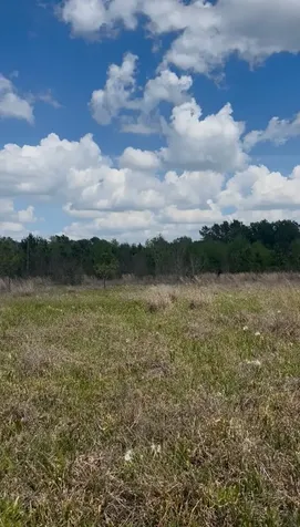 2147 8160 Tract 36 Lovelady TX 75851