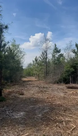 2147 8160 Tract 36 Lovelady TX 75851