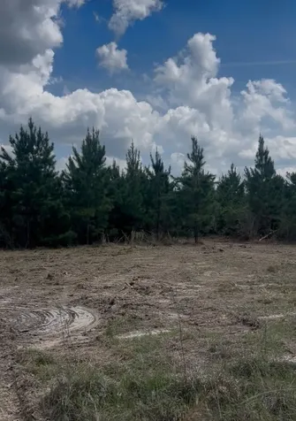 2147 8160 Tract 36 Lovelady TX 75851