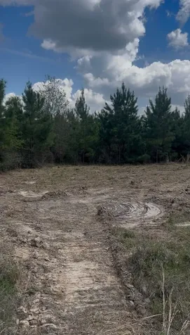 2147 8160 Tract 36 Lovelady TX 75851