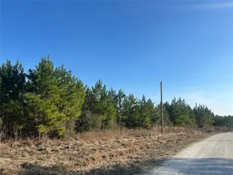 2147 8160 Tract 36 Lovelady TX 75851
