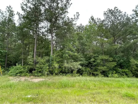 000-000 Hereford Trail Huntsville TX 77340