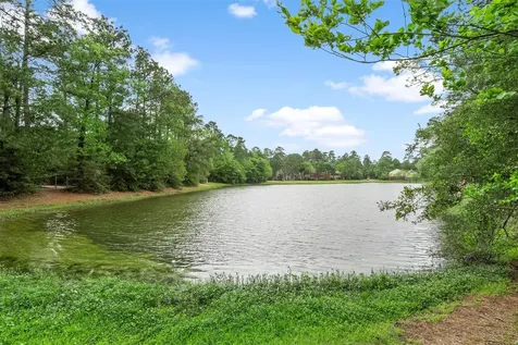36 White Bark Place The Woodlands TX 77381