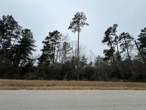15-34-6 Grassland Court Huntsville TX 77340