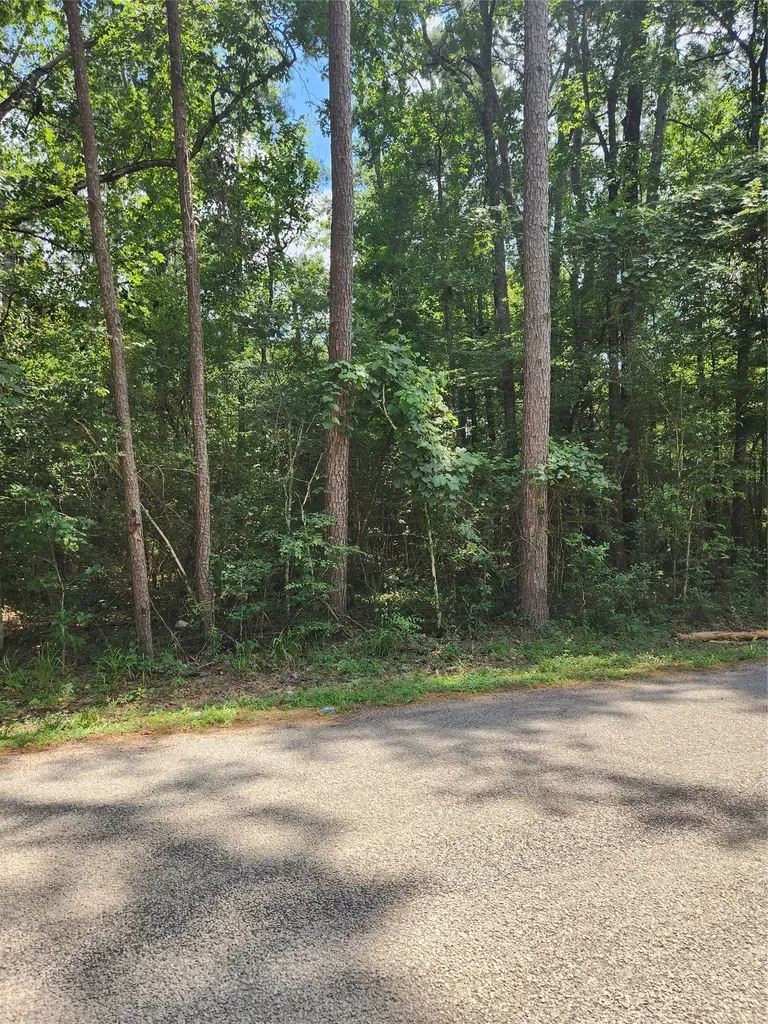 Tbd County Road 373 Splendora TX 77372