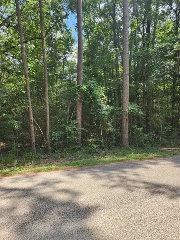 Tbd County Road 373 Splendora TX 77372