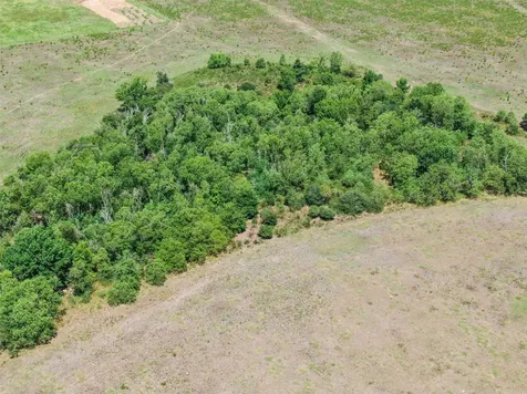 98 Ac Fields Store Road Waller TX 77484