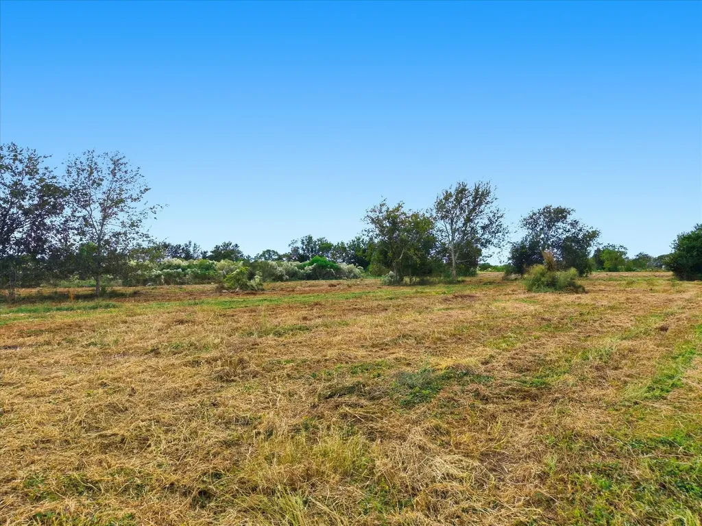 Lot 3 Cow Creek Road Damon TX 77430