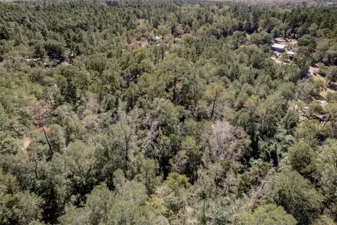 3.38 +/- Acres Arrowhead Drive Huntsville TX 77320