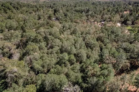 3.38 +/- Acres Arrowhead Drive Huntsville TX 77320