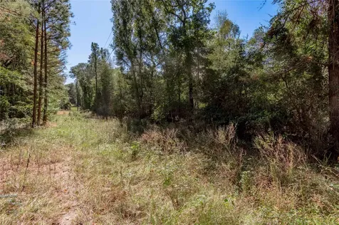 3.38 +/- Acres Arrowhead Drive Huntsville TX 77320
