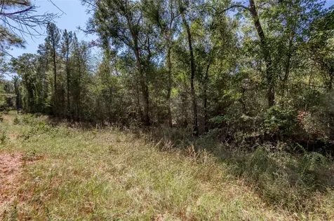 3.38 +/- Acres Arrowhead Drive Huntsville TX 77320