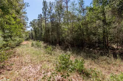 3.38 +/- Acres Arrowhead Drive Huntsville TX 77320