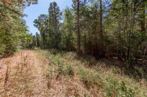 3.38 +/- Acres Arrowhead Drive Huntsville TX 77320