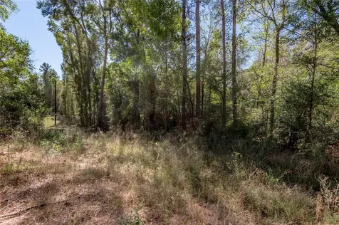 3.38 +/- Acres Arrowhead Drive Huntsville TX 77320