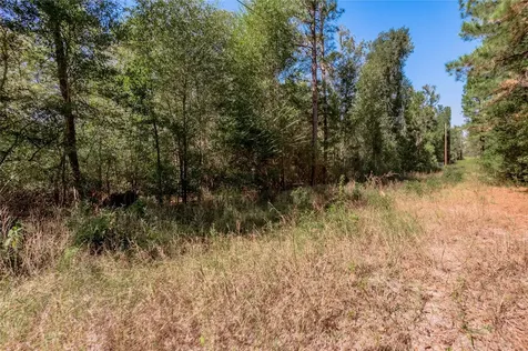 3.38 +/- Acres Arrowhead Drive Huntsville TX 77320