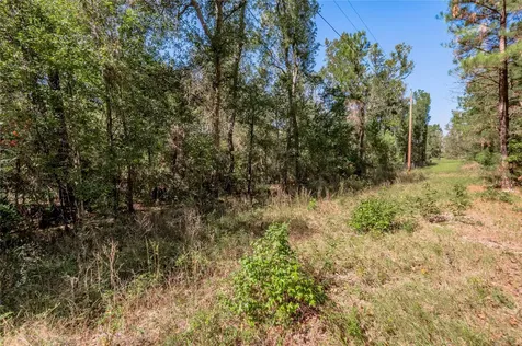 3.38 +/- Acres Arrowhead Drive Huntsville TX 77320