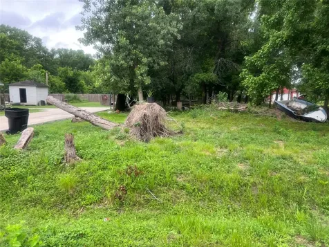 0 Willow Street Street Houston TX 77088