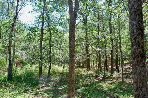 1049 Muehr Road Weimar TX 78962