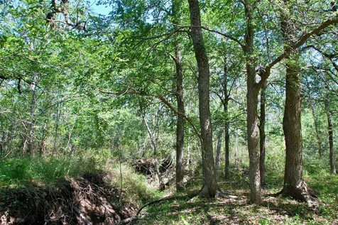 1049 Muehr Road Weimar TX 78962