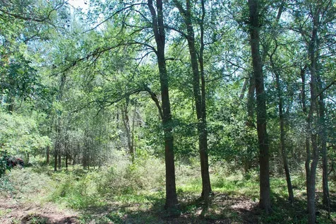 1049 Muehr Road Weimar TX 78962