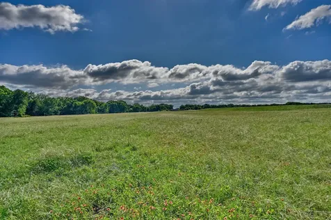 60 Acres Mcnelly Lane Burton TX 77835