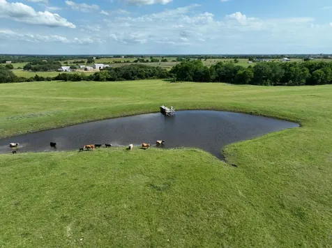 60 Acres Mcnelly Lane Burton TX 77835