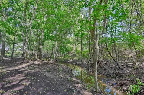 60 Acres Mcnelly Lane Burton TX 77835