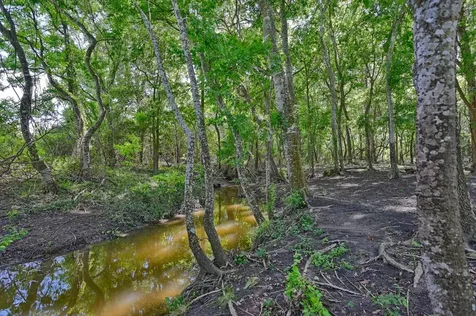60 Acres Mcnelly Lane Burton TX 77835