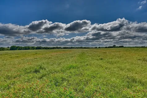 60 Acres Mcnelly Lane Burton TX 77835
