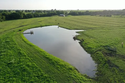 60 Acres Mcnelly Lane Burton TX 77835