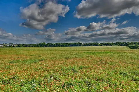 60 Acres Mcnelly Lane Burton TX 77835