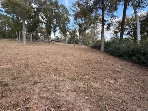 21405 Roberts Cemetery Road Hockley TX 77447