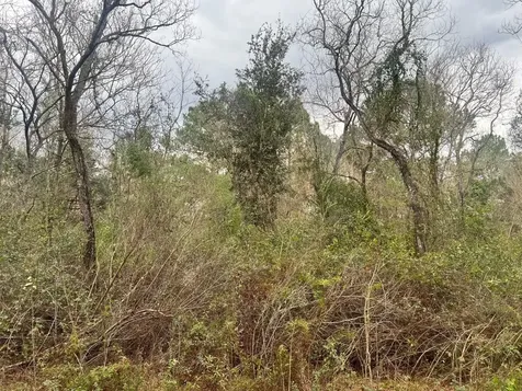 14000 Tx-65 Stowell TX 77665