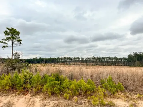 2A Hardin Hideout Road Moscow TX 75960