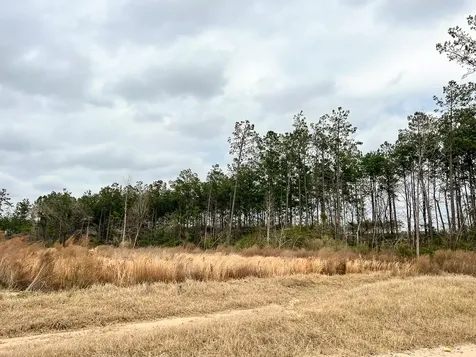2A Hardin Hideout Road Moscow TX 75960