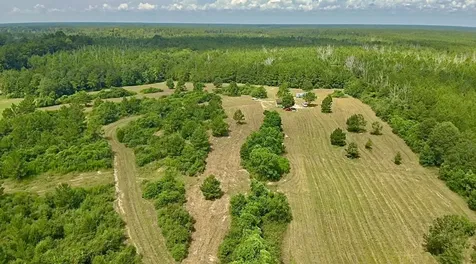 81363 George Sanner Road Road Village Mills TX 77663