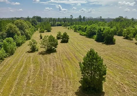 81363 George Sanner Road Road Village Mills TX 77663