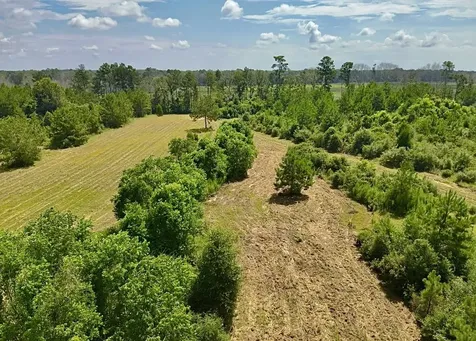 81363 George Sanner Road Road Village Mills TX 77663