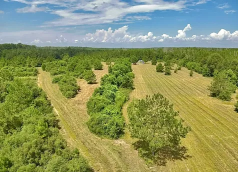 81363 George Sanner Road Road Village Mills TX 77663
